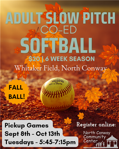2026 Adult Co-Ed Fall Softball